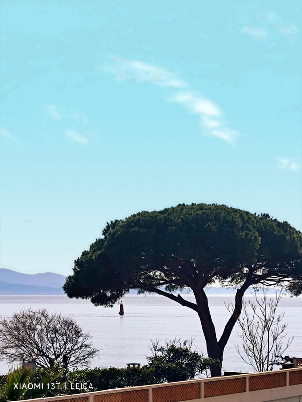 Martini Ajaccio (Corsica)