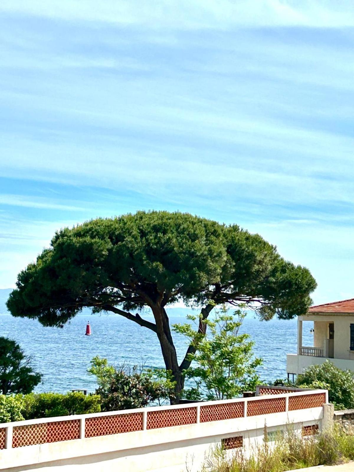 Martini Ajaccio (Corsica)